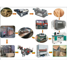 Ligne de production complète de contreplaqué automatique